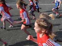 2014.03.29 - Kreismeisterschaften im Crosslauf-063